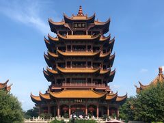 -巴厘龙虾·榜首油焖大虾(洞庭·艺术洋房店)