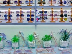 -潘多拉眼镜·蔡司依视路明月(潘家园店)