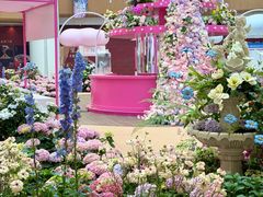 -上海长风大悦城