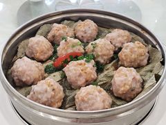 -姚林轩