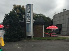 -南京奥林匹克体育中心-体育馆