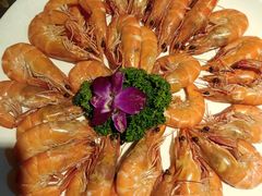 -国惠大酒楼(宝龙店)