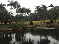 -南宁良凤江国家森林公园