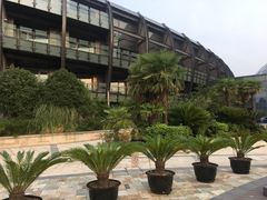 -上海滴水湖皇冠假日酒店