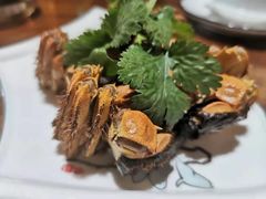 -呼吸森林·生态农庄农家乐私房菜