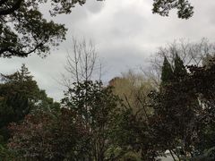 -上海醉白池公园