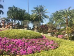 -东芭乐园