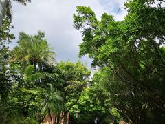 -深圳国际园林花卉博览园