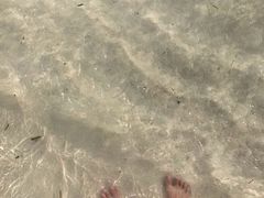 -白沙滩