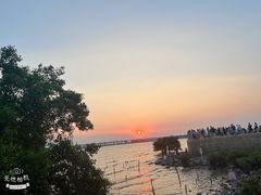 -宝安西湾红树林湿地公园