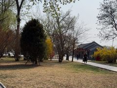 -老龙头景区