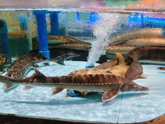 -阿伟海鲜楼·福建菜(延寿店)