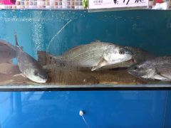 -港畔赶海蒸汽海鲜烧烤自助(仙螺岛店)