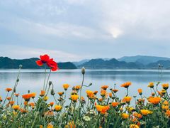 -杭州桐庐康莱德酒店西餐厅-舍