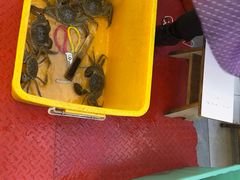 -蟹天蟹地农家菜·阳澄湖大闸蟹(浅水湾店)