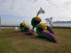 -野狸岛