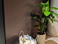 -梵猫·新养生(鹭江大同店)