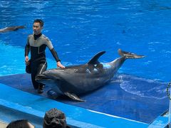 -海合安成都极地海洋公园