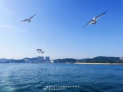 -大连老虎滩海洋公园