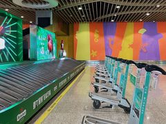 -厦门高崎国际机场-T3航站楼