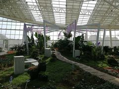 -石家庄市植物园