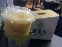 -野萃山·潮汕厚果汁(十亩地店)