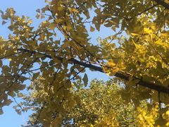 -西安市长乐公园