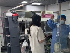 -达爱动物医院·犬猫分区·CT·复杂眼科(远洋山水分院)