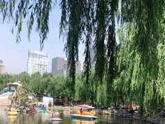 -团结湖公园