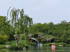 -桃花岛公园