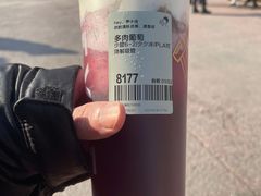 多肉葡萄-喜茶(北京五棵松华熙店)