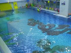 -尼莫亲子游泳NEMOSWIM(西美中心)