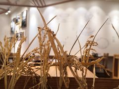 -小满手工粉(上海品尊国际店)