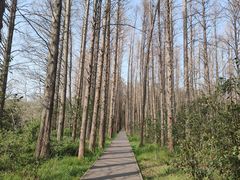 -同里国家湿地公园