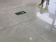-中农大我爱我爱动物医院·核磁CT·猫病·24小时夜诊中心(石佛营店)