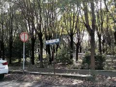 -胜华驾校·小猫学车(银都店)