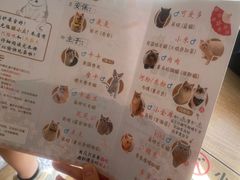 -猫小主咖啡·猫咖cat cafe(福田店)