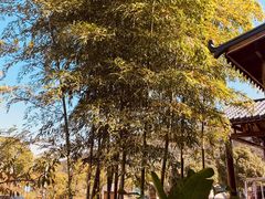 -呼吸森林·生态农庄农家乐私房菜