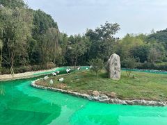 -杭州野生动物世界