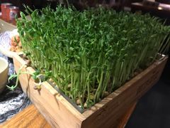 -渝味晓宇火锅(合川路店)