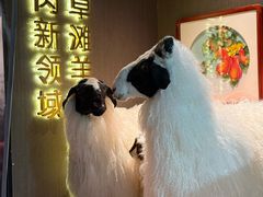 -百草滩羊清水涮羊肉·清真·宁夏盐池滩羊(莲花桥店)