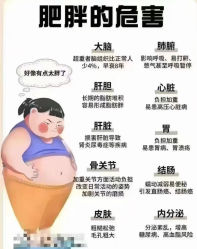 -Fundi张玉珊修身堂·indiba·BTL科技瘦身