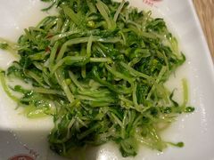新鲜豌豆苗-老班长手工灌汤包老店(东山店)