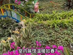 -兰陵国家农业公园