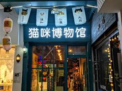 -猫咪博物馆(顶澳仔猫街店)