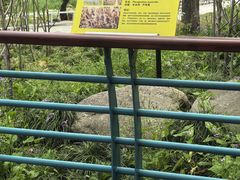 -吴淞炮台湾湿地森林公园烧烤区