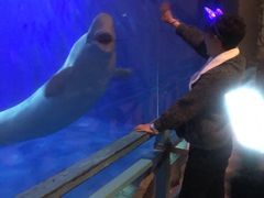 -大连圣亚海洋世界