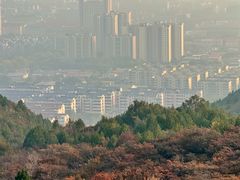 -府君山公园