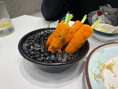 -丁老爷子苏香圆