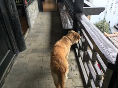 -浔岚云舍mist静谧观景美宿(丽江古城店)